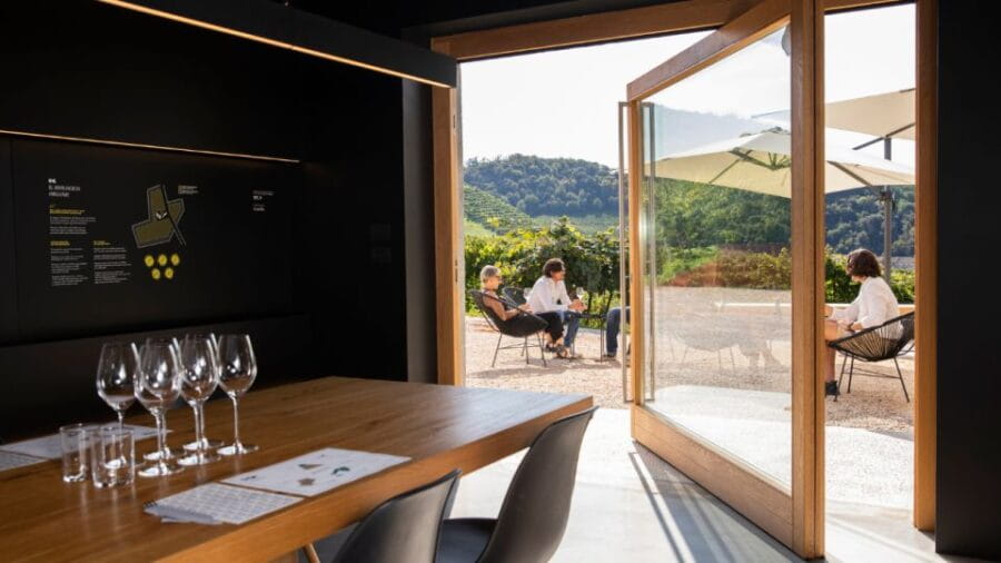 Valdobbiadene:Prosecco tasting,appetizers,winery & vineyard - Who Will Love This Experience?