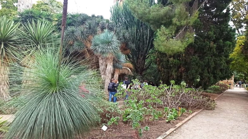 Valencia Botanical Garden Guided Tour - Monuments and Ancient Trees: Living Testaments