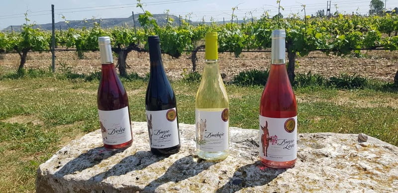 Valladolid: Concejo Bodegas - Key points / Takeaways