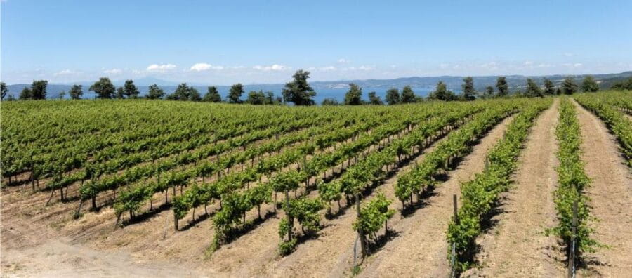 Valle del Lago: eBike tour with Food&Wine tasting experience - Discovering Lazio’s Hidden Corners on a Scenic eBike