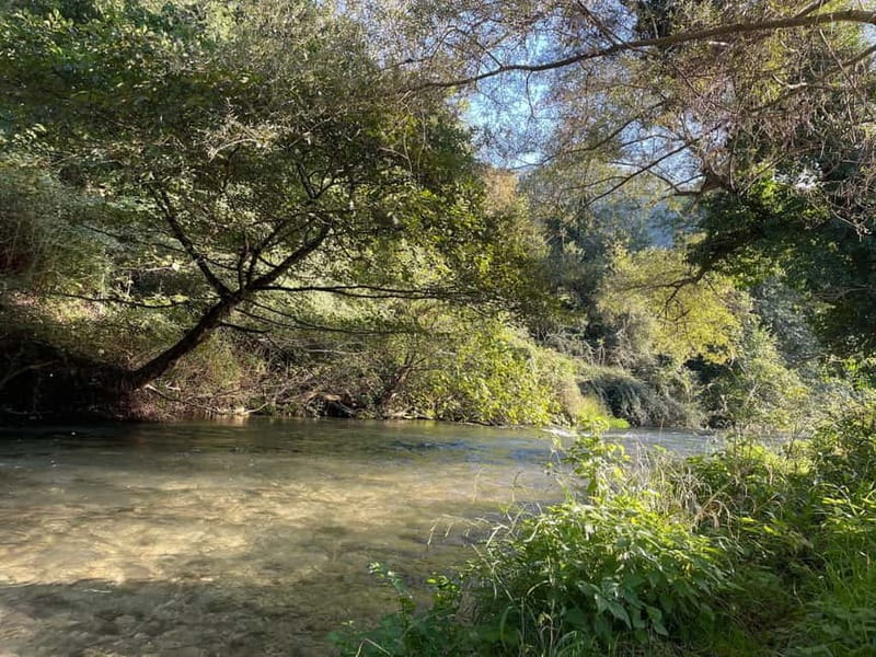 Valnerina: Fly Fishing Day with Guide - The Details: What to Expect from a Day in Valnerina