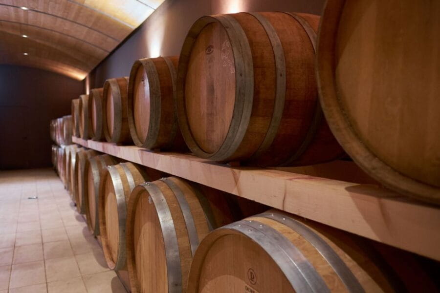 Valpolicella: Amarone Experience with Cantina Visit - Entering the Heart of Valpolicella: The Luciano Arduini Winery