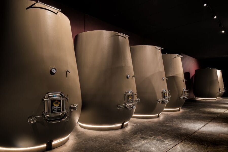 Valpolicella: Wine Tasting With A Sommelier and Light Lunch - Savoring the Finest Local Wines