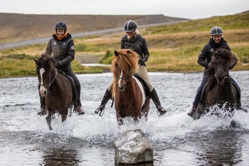 Varmahlid: 1-Hour Icelandic Horse Riding Tour - The Itinerary: What You Can Expect from Start to Finish