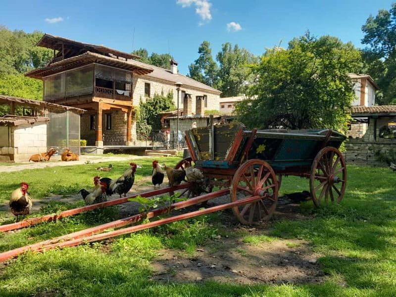 Varna: Guided VIP Tour - FAQ