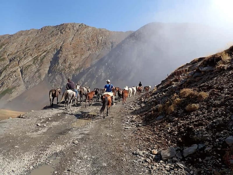 Vashlovani Nature Reserve: Horse Riding Tour - Price and Logistics: Good Value for Nature and Comfort