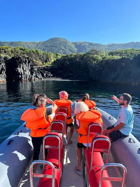 Velas: In the heart of Azores with whales and dolphins - What to Expect on the Water: Searching for Cetaceans and More