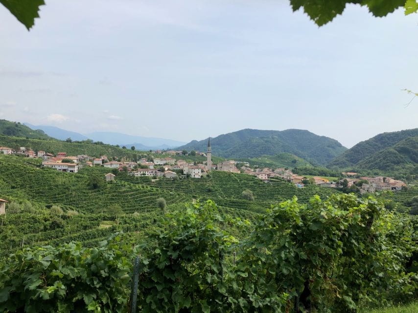 Venice: Prosecco Hills Wineries Tour with Tastings and Lunch - The Charm of a Family-Owned Osteria