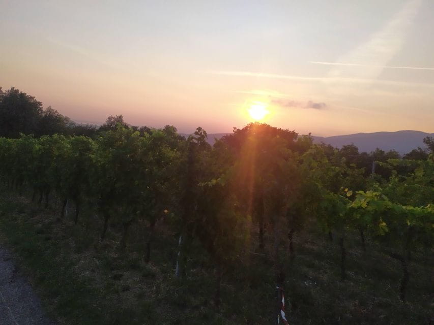 Verona Best Trekking Best View - Discover Verona’s Natural Beauty on the Best Trekking Experience