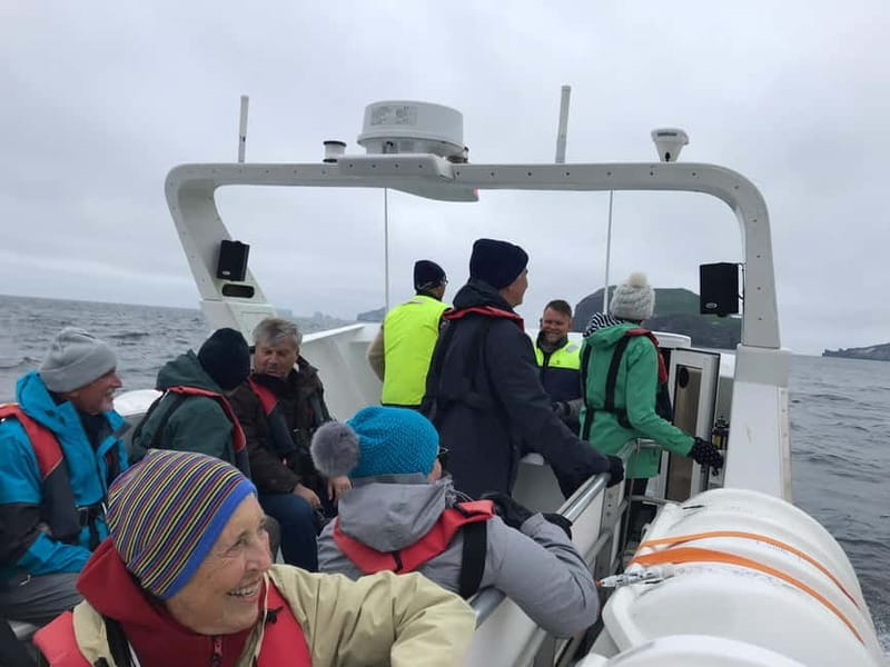 Vestmannaeyjar: Puffin, Island, and Volcano Boat Tour - Wildlife and Photography Tips