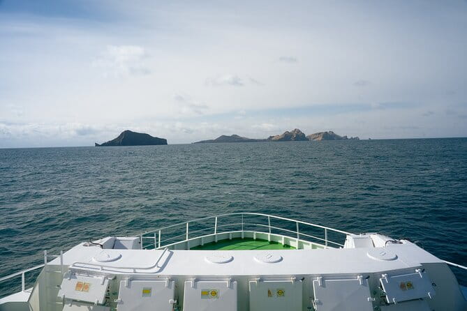 Vestmannaeyjar, Puffins & Volcanoes Small Group Day Tour - Who is This Tour Perfect For?