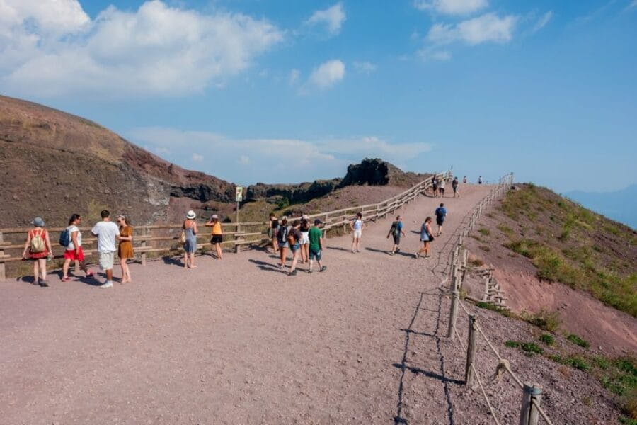 Vesuvius and Pompeii Transfer + Entrance for the Vesuvio - The Guides and the Transport: Trustworthy and Efficient