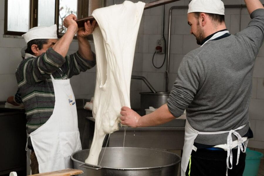 Vico Equense: Tour in the dairy "Mozzarella Experience" - What to Expect: The Cheese-Making Experience