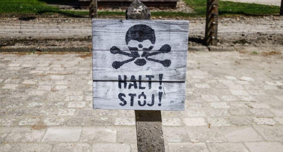 Vienna: Auschwitz Birkenau Full-Day Tour w/ Hotel Transfers - Who Will Benefit Most from This Tour?