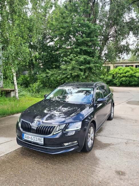 Vienna daytrip: Private transfer from Budapest and back - Who should consider this private transfer?