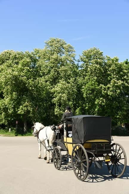 Vienna Porcelain Carriage - A discreet Prater carriage ride for adults - Practical Tips for Your Carriage Ride