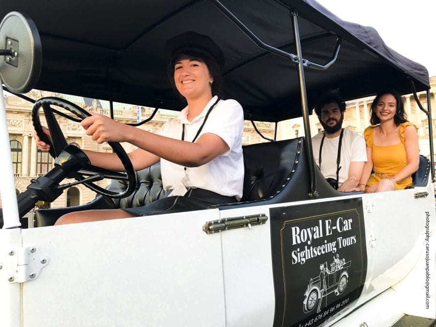 Vienna: Private Electric Car Sightseeing Tour - Who Should Consider This Tour?