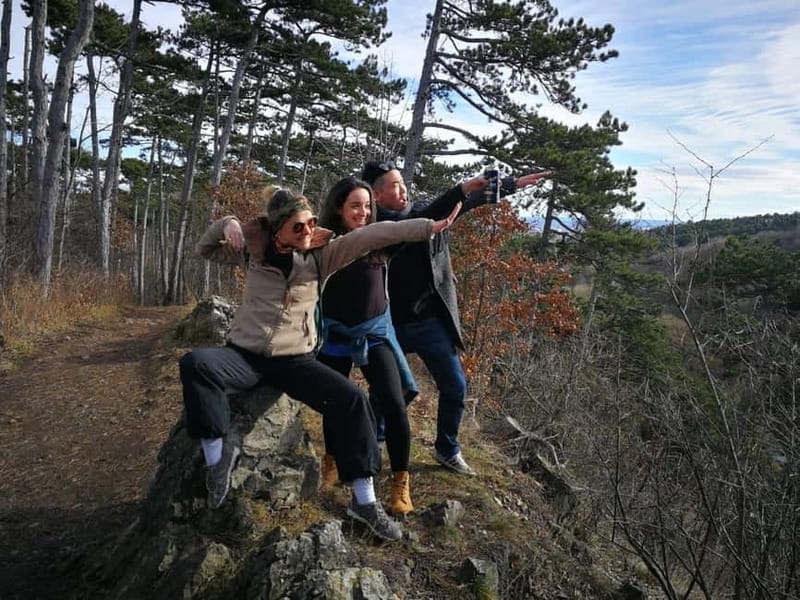 Vienna: Private Walking Tour Through the Hilly Countryside - Who Would Love This Tour?