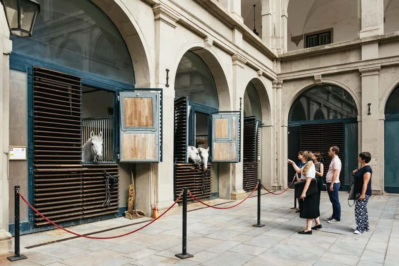 Vienna: Spanish Riding School Guided Architectural Tour - The Guided Tour Experience