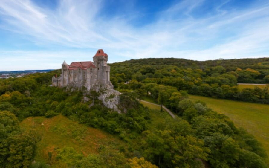 Vienna: Vienna Woods Tour with Underground Lake and Wine - Who Is This Tour Best For?