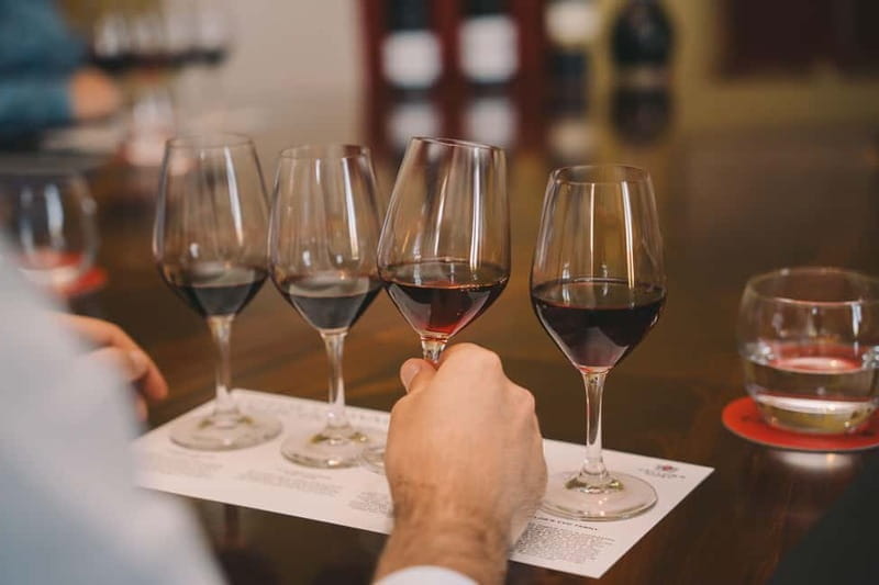 Vila Nova de Gaia: Wine Tasting Connoisseur Masterclass - The Setting: A Private Sanctuary in Vila Nova de Gaia