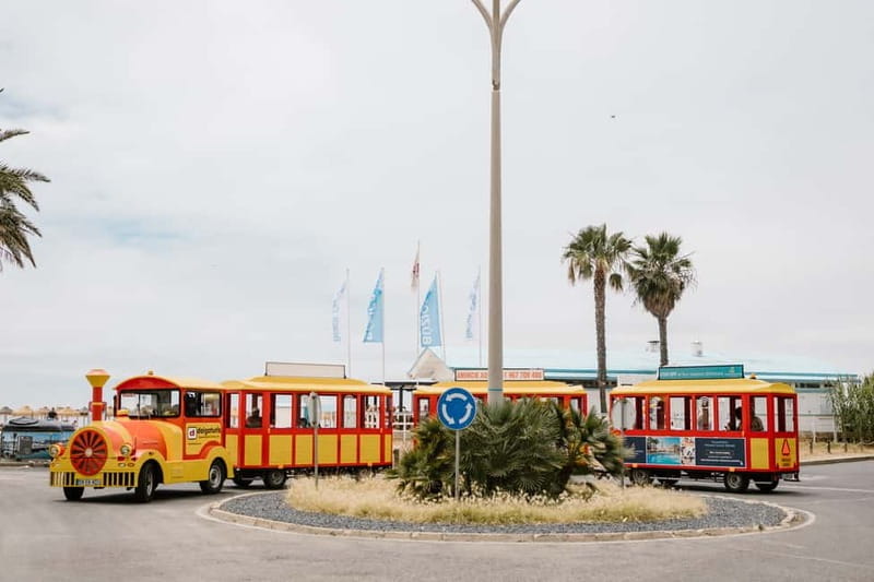 Vilamoura: Tourist Train City Tour - Who Will Love This Tour?