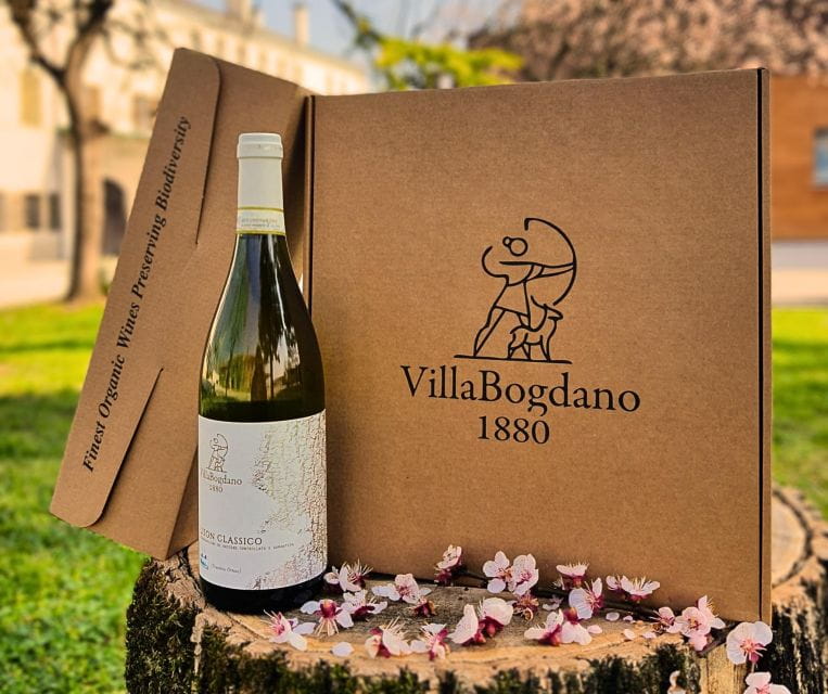 Villa Bogdano 1880: Guided Winery Tour and Tasting - Who Would This Tour Suit Best?