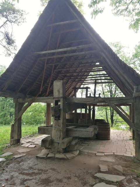 Village Museum Bucharest Guided Tour - The City Tour: From Revolution Square to Calea Victoriei
