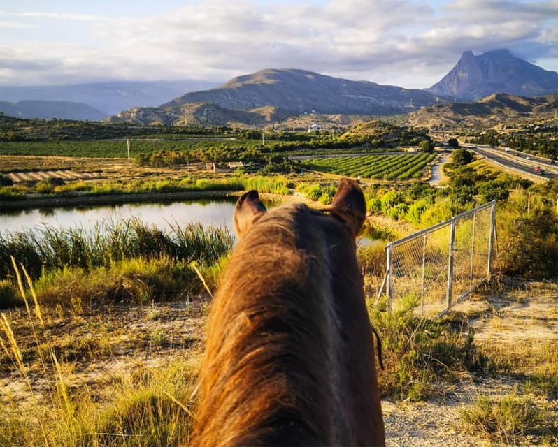 Villajoyosa:2-hour Horseback Riding Tour - Price and Logistics: Is It Worth It?