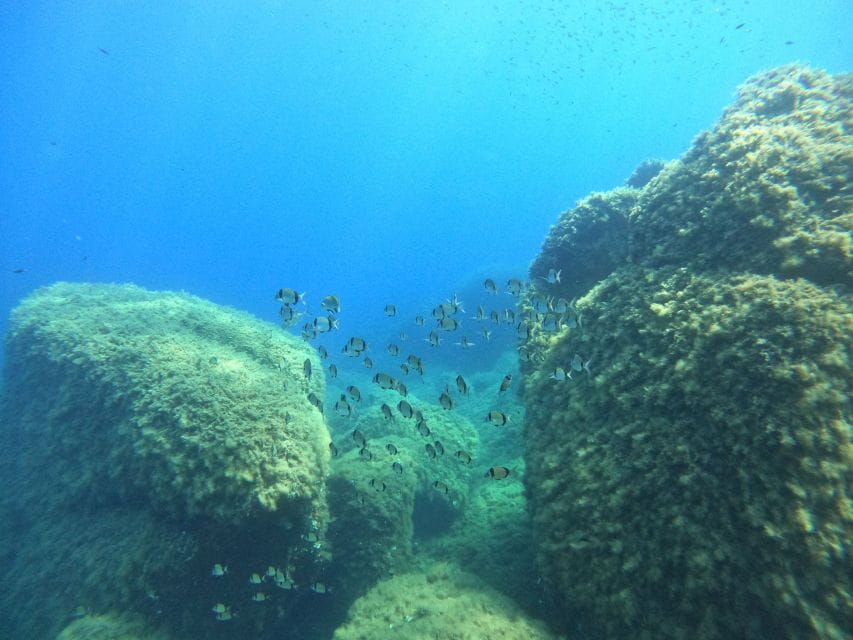 Villasimius: Scuba Dive in Capo Carbona without Certificate - The Logistics and Value of the Tour