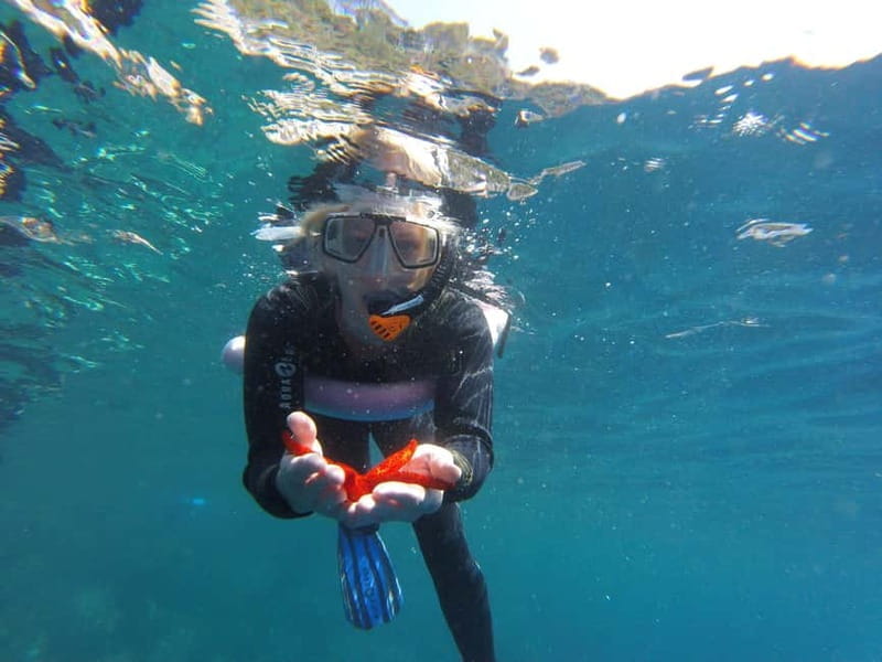 Villefranche-sur-Mer / Nice: snorkeling in privacy on a private boat - Why This Tour Stands Out: Personalized, Authentic, and Scenic