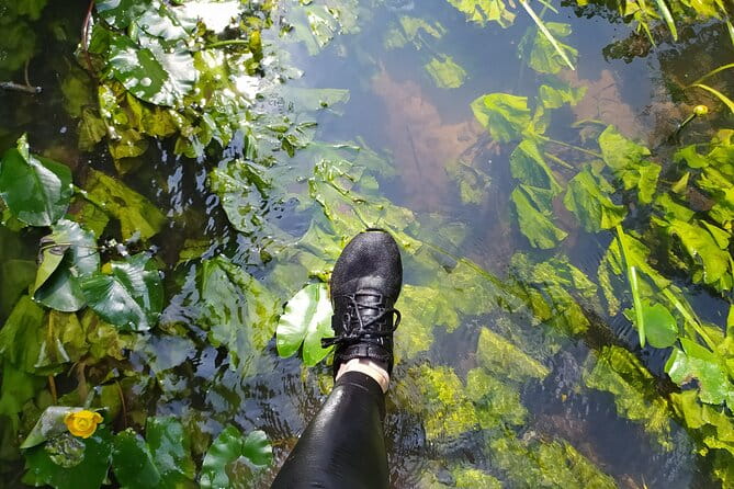 Vilnele River Walking Tour and Uzupis Experience - Who Will Love This Tour?