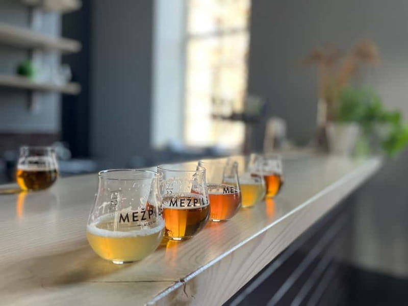 Vilnius: Pub Crawl with Welcome Drink and Traditional Snacks - Who Should Book This Tour?