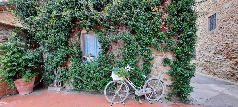 Vinci:Discovering Leonardo's Origins & Aperitif in Vineyards - Visiting the Church of S. Croce and Local Heritage