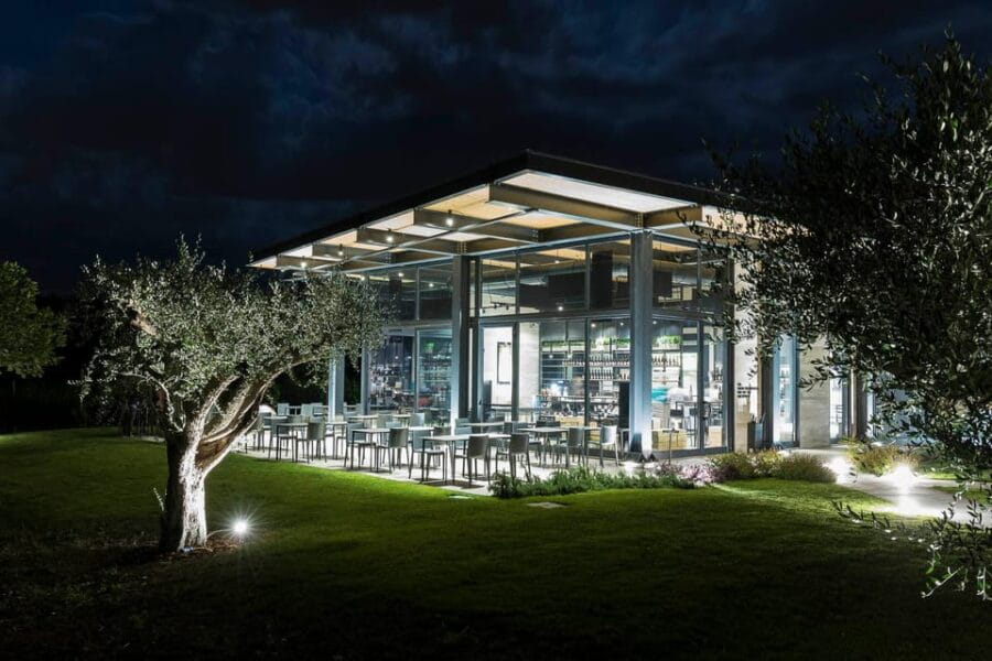 Vineyard Tour and Winery Visit with Tasting of Wines of Romagna - The Tasting Experience: Flavor and Authenticity