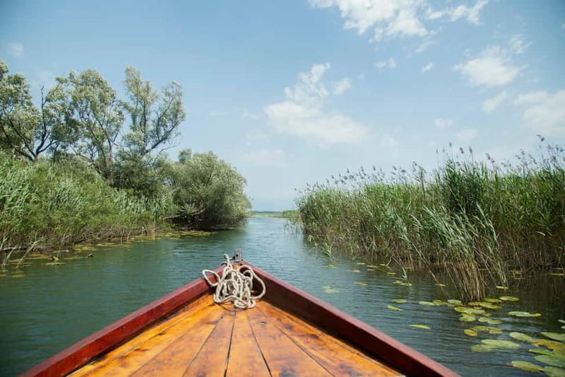 Virpazar: Lake Skadar Sightseeing Cruise - Entering the Vastness of Lake Skadar