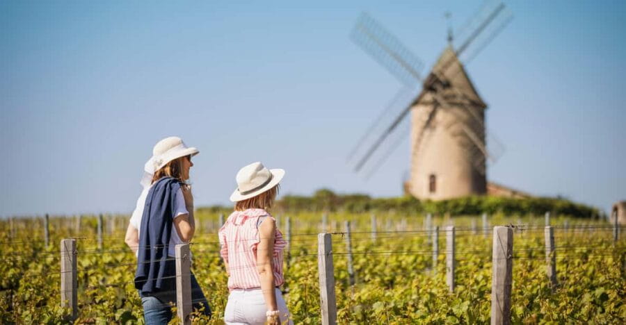 Visit : Château du Moulin-à-Vent, a History of Terroirs! - Who This Tour Is Best For