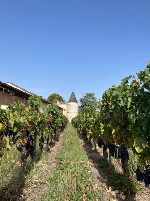 Visit to the property and wine/cheese pairing workshop - Authentic Experiences and Guest Impressions