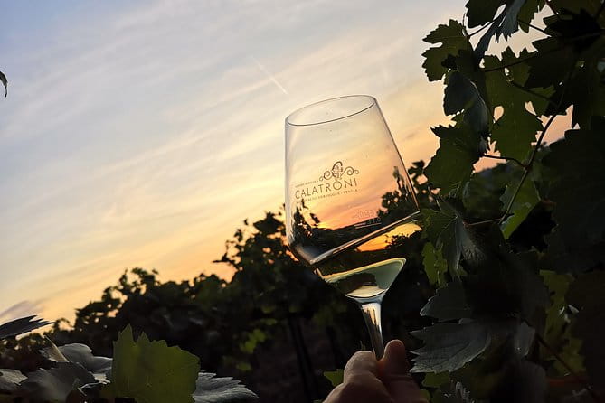 Visit, wine tasting and lunch - Price and Value: Is It Worth It?