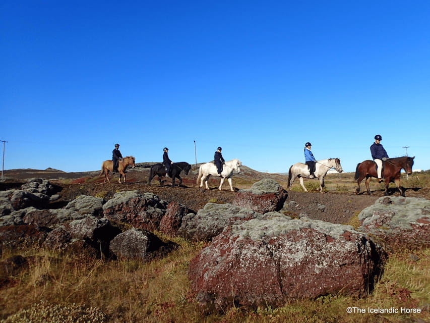 Volcanic Landscape Iceland Horse Riding Tours - Exploring the Scenic Volcanic Landscape on Horseback