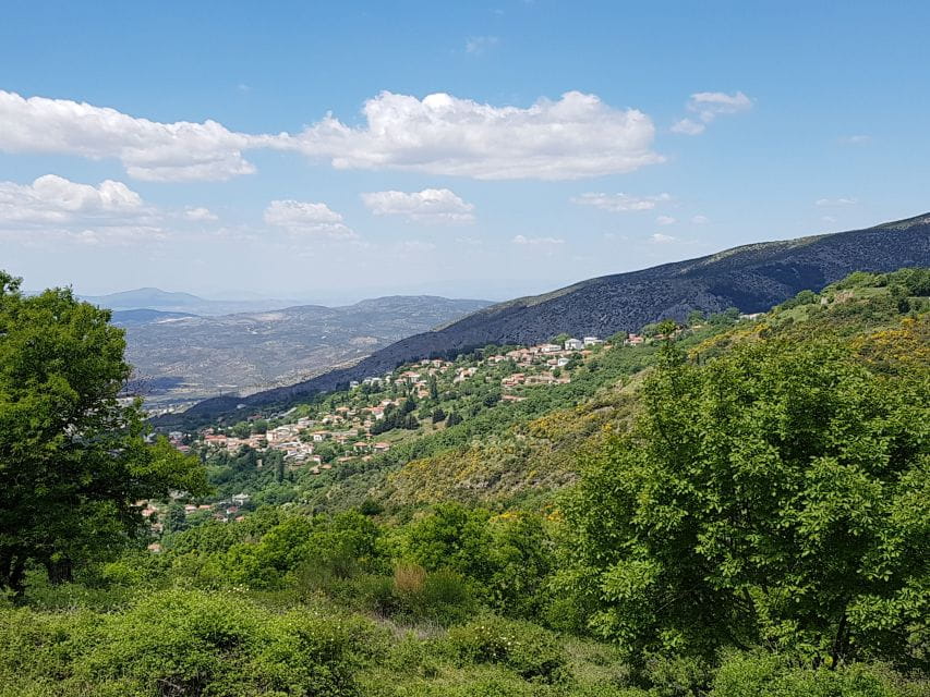 Volos: Cook Like a Local at a Greek Farm - Who Will Love This Tour?