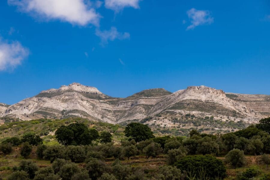 Walk among the olive trees (Small group experience) - The Scenery: Olive Trees, Mythology, and Mountain Views