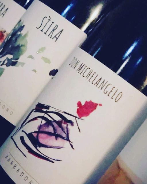 Walk among the rows of vineyards and wine tasting - Entering the world of Sicilian wine at Barbadoro