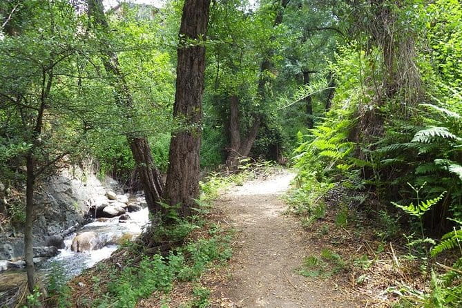 Walk on Artemis trail and in Old Kakopetria - Discovering Old Kakopetria: Village Charm and Authenticity