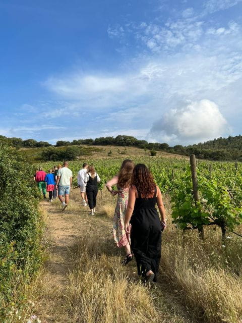 Walk through our vineyard and aperitif - Walking Through the Vineyard: A Personal Introduction to Sardinian Wine