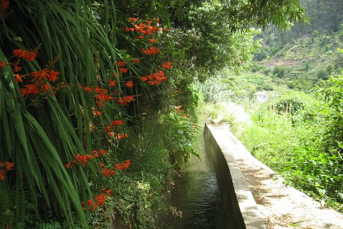 Walking Experience in the Serra D'Água Valley - The Scenic Highlights of the Route