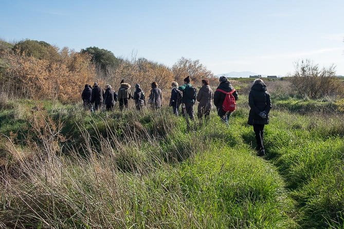 Walking tour in Diaccia Botrona - Walking Through the Marshland: What to Expect