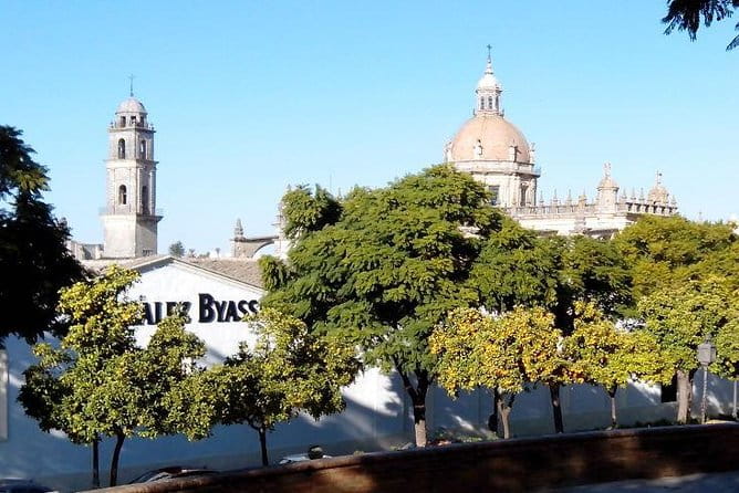 Walking tour in Jerez - Exploring Jerez’s Historic Center: A Practical Guide