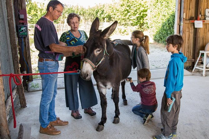 Walks and hikes with donkeys - Why This Tour Is Worth Considering