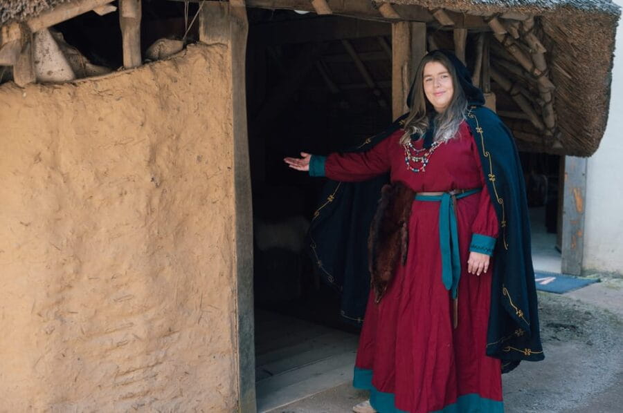 Waterford Treasures: King of the Vikings - Price and Logistics: Is It Worth It?